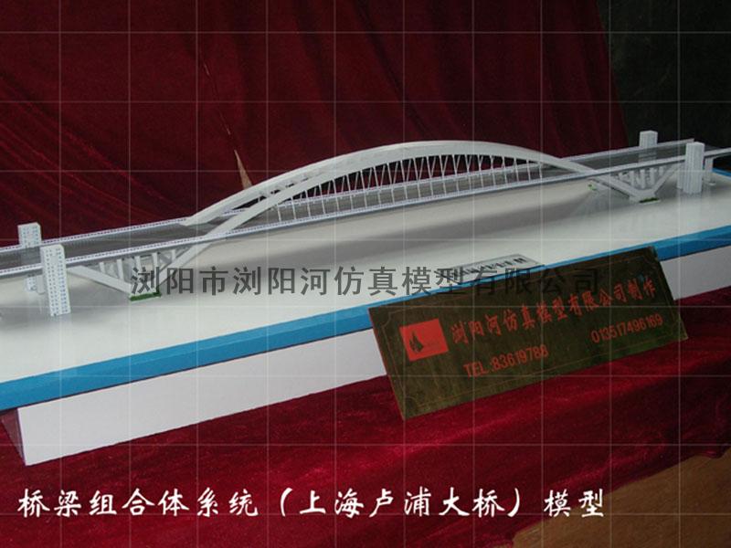 组合体系统模型（上海卢浦大桥）
